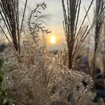 Дом отдыха Sunset- Dom Zachod Slonca *