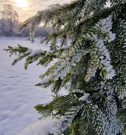 Sunset- Dom Zachod Slonca Moldzie